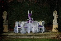 CHAIR COVERS UK 1095619 Image 1